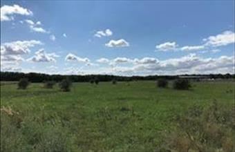 Eladó Vecsési külterületi telek hirdetés (35877578)