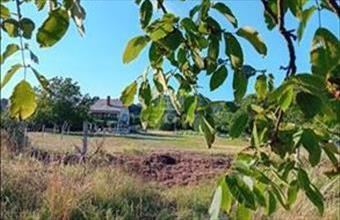 Eladó Szigligeti üdülőövezeti telek hirdetés (53946443)