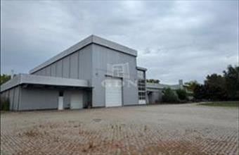 Eladó Kecskeméti raktár hirdetés (43938443)