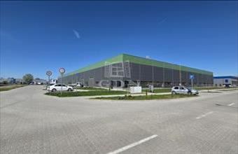 Kiadó Székesfehérvári telephely hirdetés (42271764)