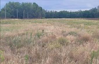 Eladó Mórahalomi lakóövezeti telek hirdetés (19662734)