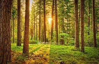 Eladó Pusztahencsei egyéb mezőgazdasági ingatlan hirdetés (24429483)