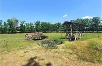 Eladó Kiskunfélegyházai egyéb mezőgazdasági ingatlan hirdetés (57889795)