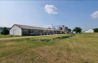 Eladó Pátkai raktár hirdetés (33357592)