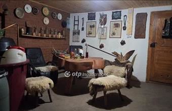 Eladó Albertirsai családi ház hirdetés (43479466)