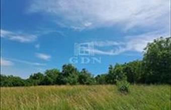 Eladó Balatonkenesei lakóövezeti telek hirdetés (43985873)