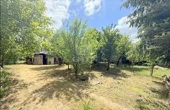 Eladó Zalaegerszegi hétvégi ház hirdetés (59399386)