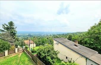 Eladó Leányfalui családi ház hirdetés (88383214)