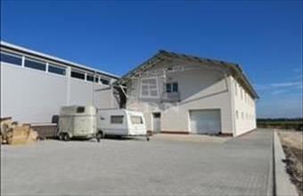 Kiadó Seregélyesi raktár hirdetés (54357367)