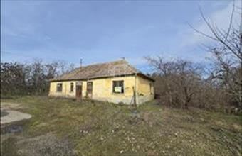 Eladó Bajai tanya hirdetés (66547433)