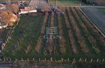 Eladó Dunafalvai családi ház hirdetés (79674436)