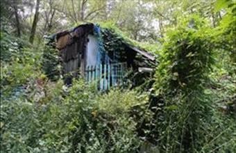 Eladó Isaszegi lakóövezeti telek hirdetés (67654233)