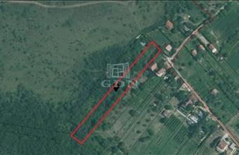 Eladó Pázmándi lakóövezeti telek hirdetés (19579587)