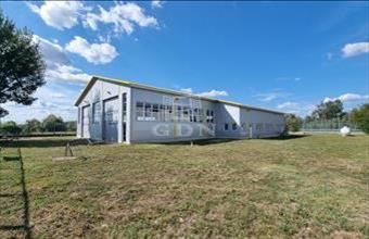 Eladó Székesfehérvári raktár hirdetés (69679348)