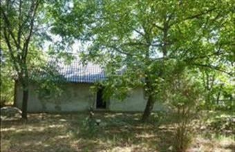 Eladó Kecskeméti családi ház hirdetés (69174221)