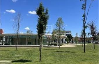 Eladó Romániai családi ház hirdetés (27275841)