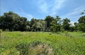 Eladó Romániai lakóövezeti telek hirdetés (53537399)