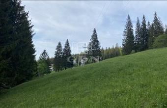 Eladó Romániai üdülőövezeti telek hirdetés (26291485)