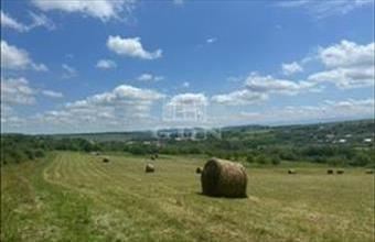 Eladó Romániai lakóövezeti telek hirdetés (44443296)