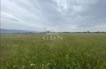 Eladó Romániai lakóövezeti telek hirdetés (15592443)