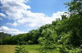 Eladó Sződi termőföld, szántó hirdetés (24294712)