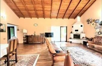 Eladó Romániai családi ház hirdetés (42846233)