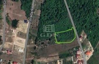 Eladó Romániai lakóövezeti telek hirdetés (57394998)