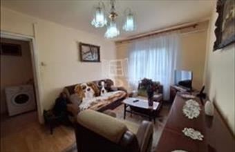 Eladó Romániai tégla lakás hirdetés (14449839)