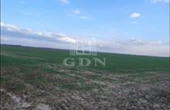 Eladó Romániai lakóövezeti telek hirdetés (62494395)