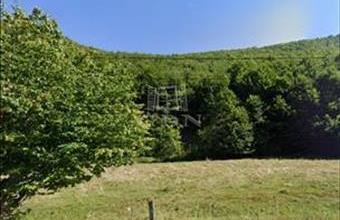 Eladó Romániai üdülőövezeti telek hirdetés (17444472)