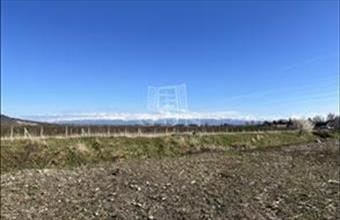 Eladó Romániai lakóövezeti telek hirdetés (54474594)