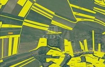 Eladó Romániai lakóövezeti telek hirdetés (75493358)