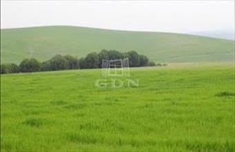 Eladó Romániai lakóövezeti telek hirdetés (53541295)