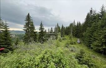 Eladó Romániai lakóövezeti telek hirdetés (34435399)