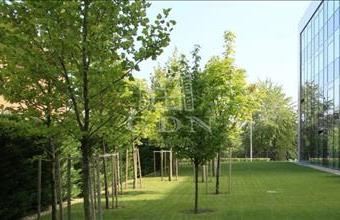 Kiadó Budapest XI. kerületi iroda irodaházban hirdetés (44643724)