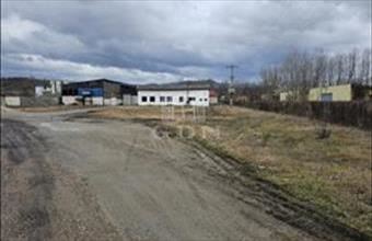 Kiadó Romániai telephely hirdetés (47674844)