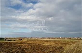 Eladó Romániai lakóövezeti telek hirdetés (52257359)