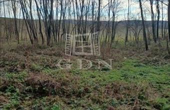 Eladó Sárhidai termőföld, szántó hirdetés (82394934)