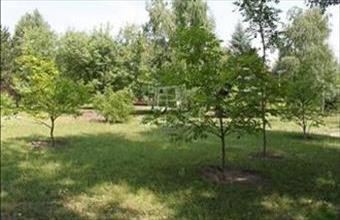 Eladó Gárdonyi lakóövezeti telek hirdetés (15715397)