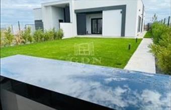 Eladó Romániai családi ház hirdetés (38585244)