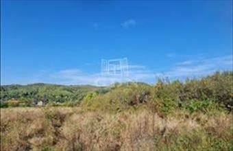 Eladó Romániai lakóövezeti telek hirdetés (27622243)