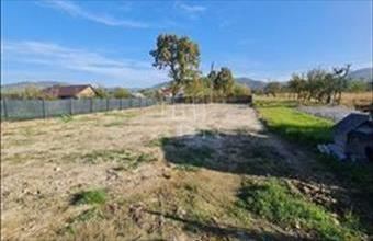 Eladó Romániai lakóövezeti telek hirdetés (94349979)