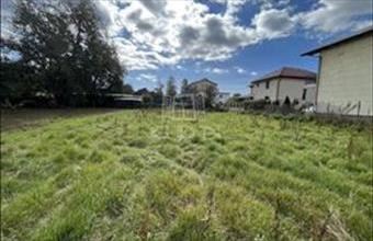 Eladó Romániai családi ház hirdetés (14843334)