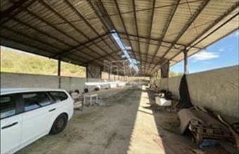 Kiadó Romániai telephely hirdetés (92487494)