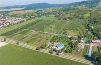 Eladó Putnoki termőföld, szántó hirdetés (26739957)