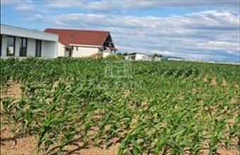 Eladó Romániai lakóövezeti telek hirdetés (57983966)