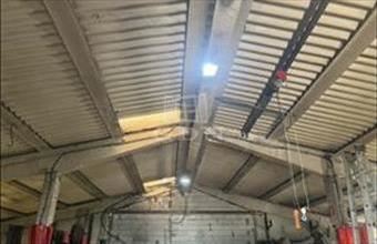 Kiadó Romániai telephely hirdetés (16493933)