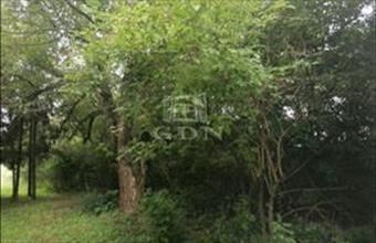 Eladó Nagykutasi lakóövezeti telek hirdetés (96446823)