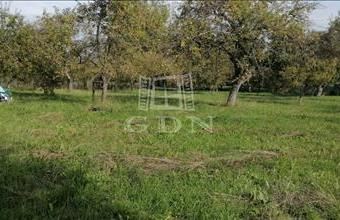 Eladó Romániai üdülőövezeti telek hirdetés (49373426)