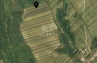 Eladó Péceli termőföld, szántó hirdetés (69223323)